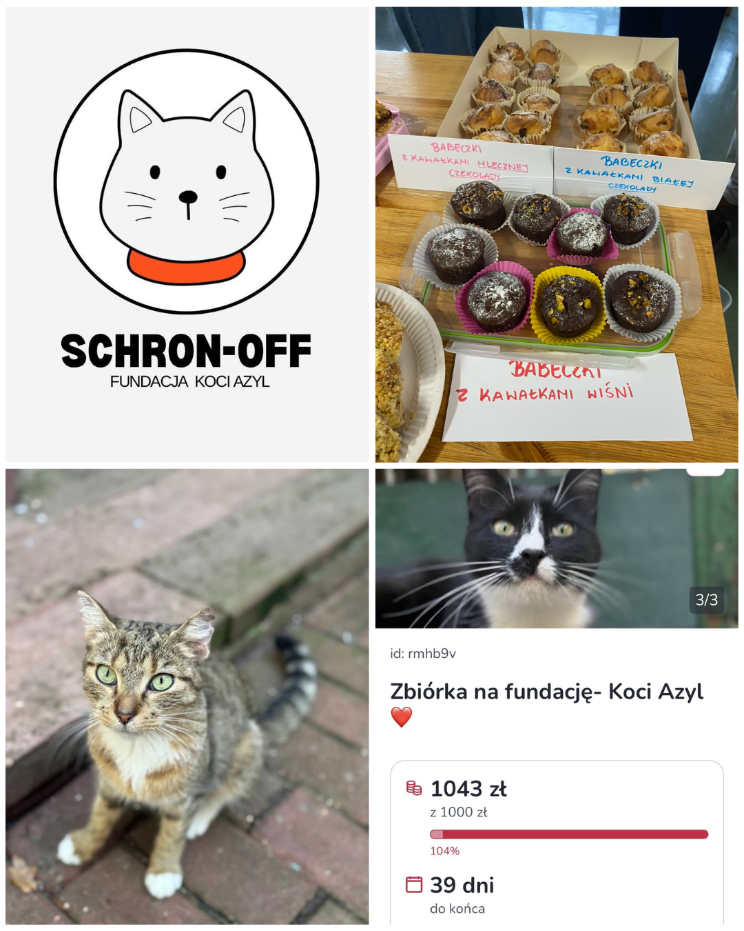 kolaż zdjęć przedstawiający akcję schron-off